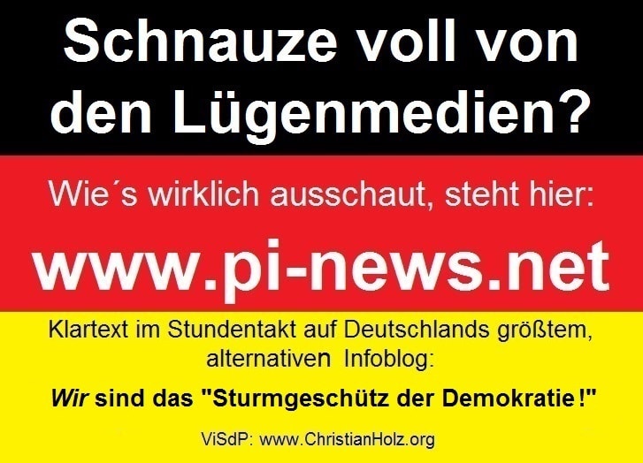 Schnauze-voll-Lügenmedien-Sturmgeschütz-Demokratie-2
