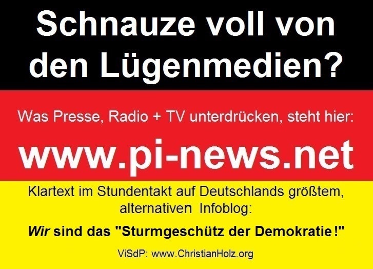 Schnauze-voll-Lügenmedien-Sturmgeschütz-demokratie-2-2