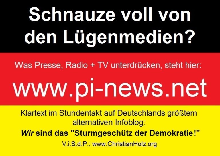 Schnauze-voll-Lügenmedien-Sturmgeschütz-der-Demokratie-2-2