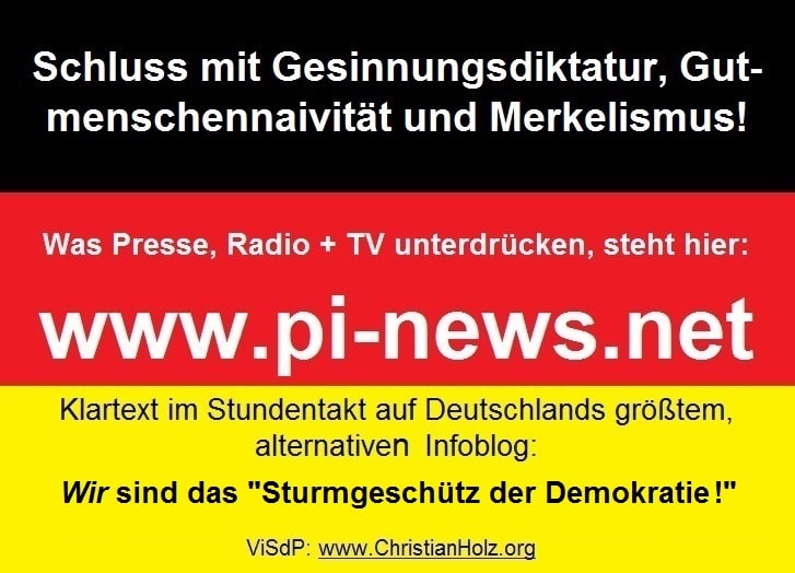 schluss-mit-Merkelismus-Sturmgeschütz-Demokratie-2